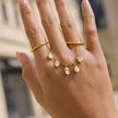 Nova Link Ring